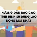 Hướng Dẫn Báo Cáo Tình Hình Sử Dụng Lao Động Mới Nhất