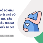 ho so gia quyet che do thai san 2