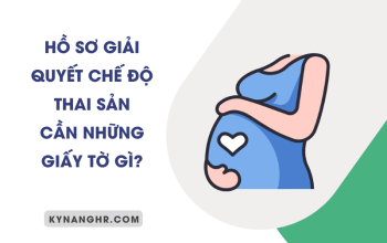 ho so gia quyet che do thai san 2