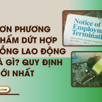 Don Phuong Cham Dut Hop Dong Lao Dong La Gi Quy dinh moi nhat