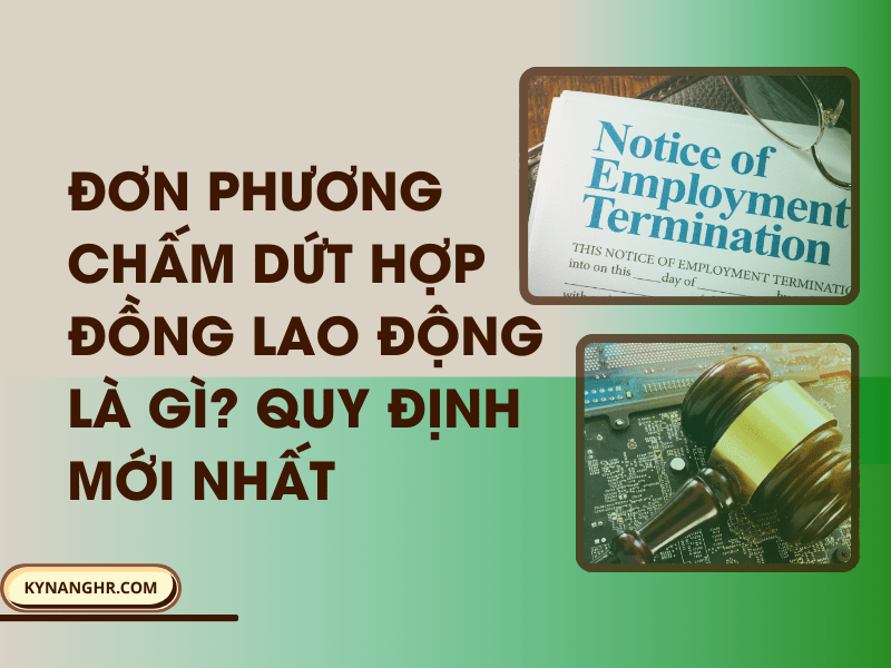 Đơn Phương Chấm Dứt Hợp Đồng Lao Động Là Gì? Quy Định Mới Nhất