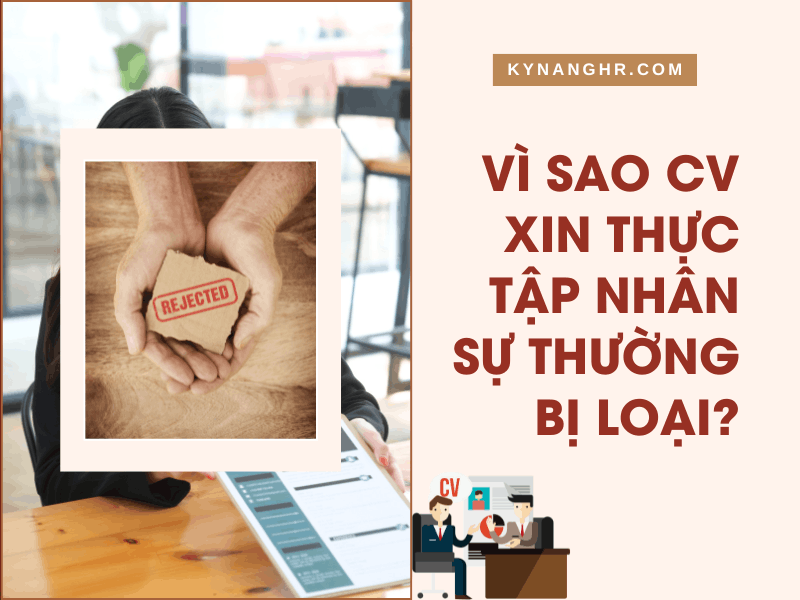 CV xin thực tập nhân sự