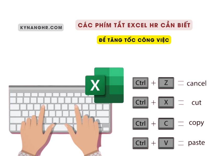 Các Phím Tắt Excel HR Cần Biết Để Tăng Tốc Công Việc