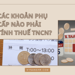 Cac Khoan Phu Cap Nao Phai Tinh Thue TNCN