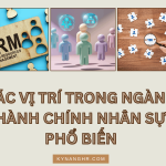Cac Vi Tri Trong Nganh Hanh Chinh Nhan Su Pho Bien
