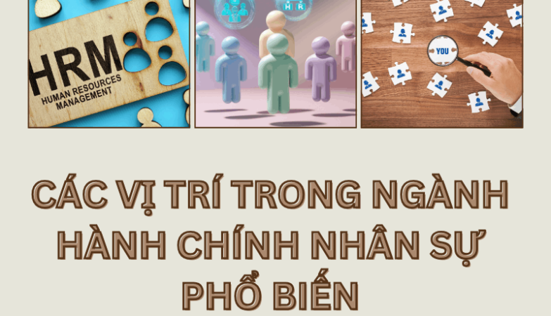 Cac Vi Tri Trong Nganh Hanh Chinh Nhan Su Pho Bien