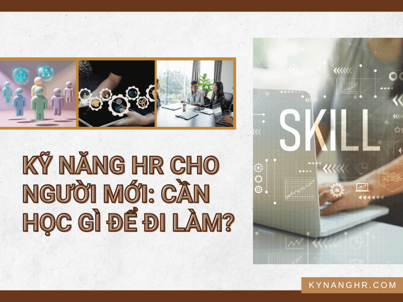 Kỹ Năng HR Cho Người Mới: Cần Học Gì Để Đi Làm